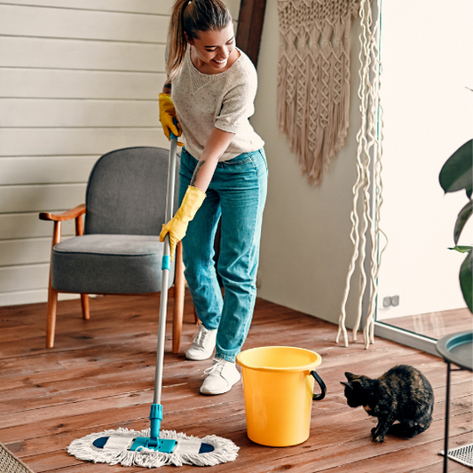 The Role of Mops in Pet-Friendly Homes: Tips for a Clean Space