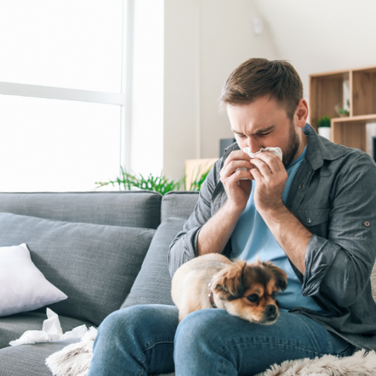 How Mops Contribute to an Allergy-Free Home